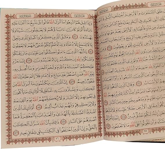 714AgIZIRPL._AC_SX569_