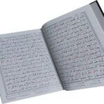 71hGDziwIkL._AC_SX450_-150x150