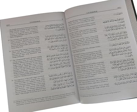 71ZhYp21qML._AC_SX450_