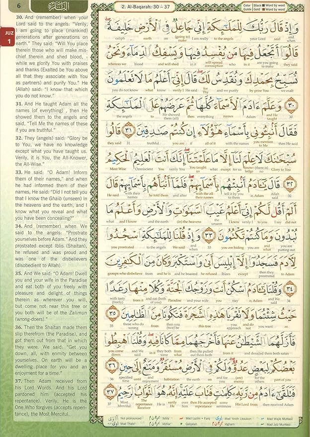 THE NOBLE QURAN WORD BY WORD TRANSLATION COLOR CODED TAJWEED Arabic TO English