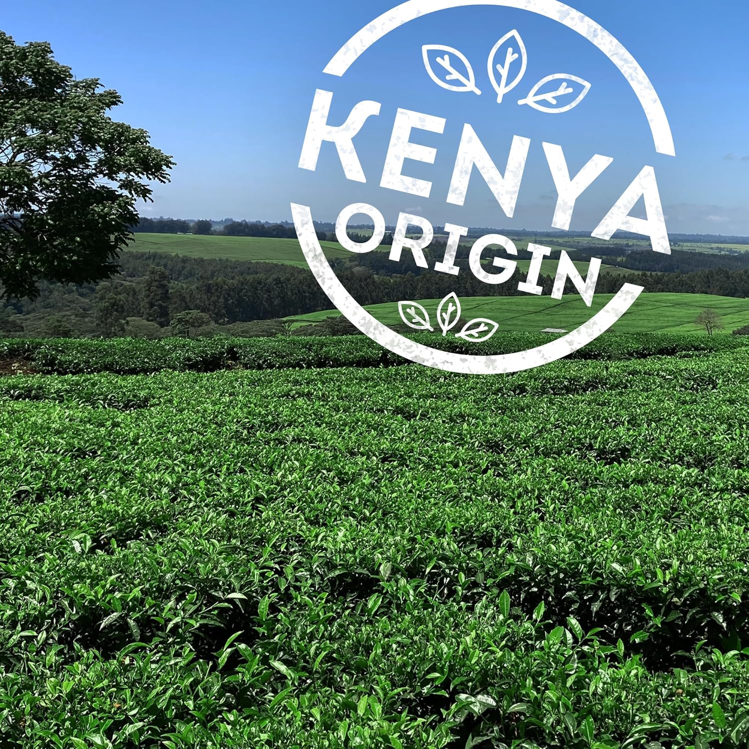 Lipton Extra Strong Black Tea 100 Teabags,, Lipton Extra Strong Black Tea 100 Teabags,