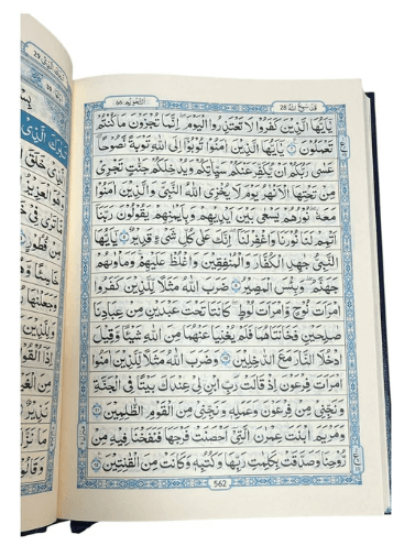 Screenshot 2026-02-24 000619