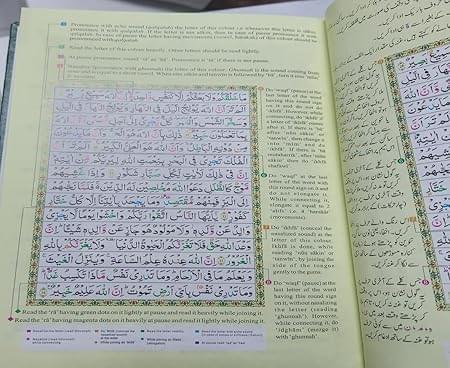 71ktuTNSlQL._AC_SX450_